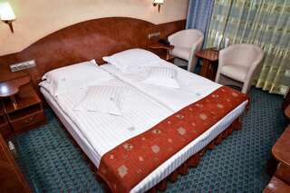 Отель Hotel Carpati Бая-Маре Стандартный двухместный номер с 1 кроватью или 2 отдельными кроватями-1