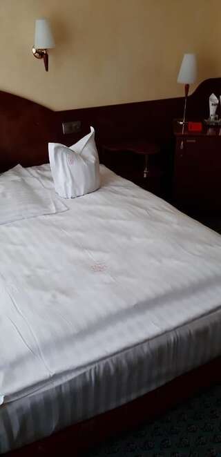 Отель Hotel Carpati Бая-Маре Номер с кроватью размера "king-size" - Доступ для гостей с ограниченными физическими возможностями / Душ, доступный для гостей с ограниченными физическими возможностями-2